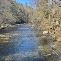 Gatlinburg Trail (Great Smoky Mountains National Park) - All You Need ...