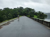 are dogs allowed at rocky creek dam