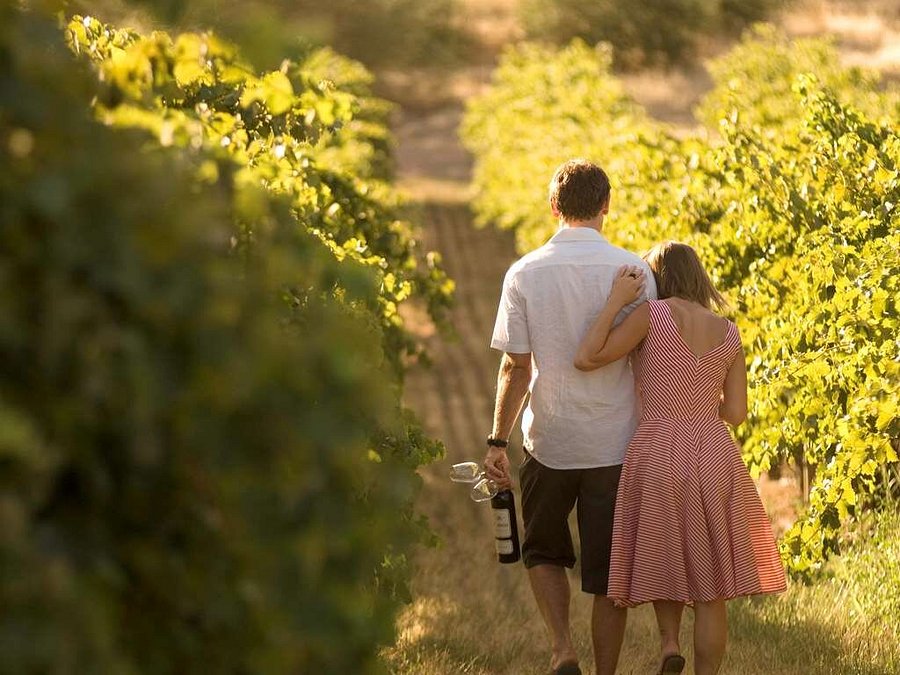 NOVOTEL BAROSSA VALLEY RESORT (AU$137): 2021 Prices & Reviews - Photos