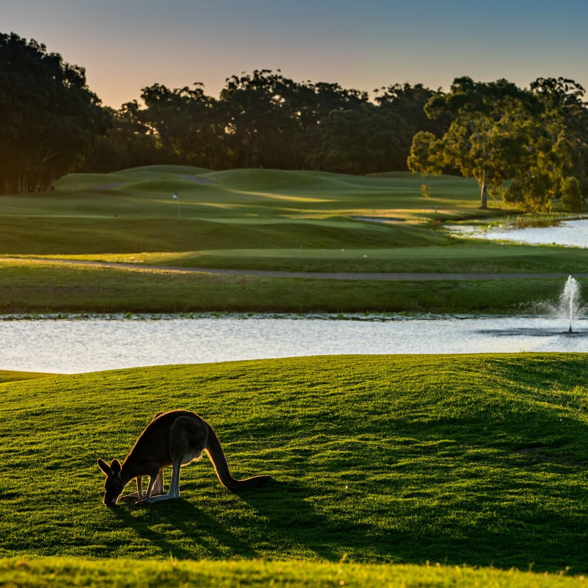 Horizons Golf Resort (Salamander Bay) All You Need to Know BEFORE You Go