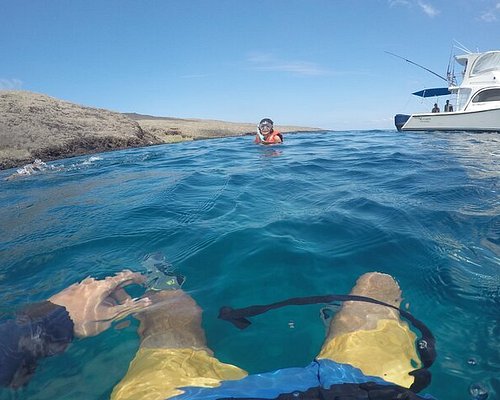 galapagos islands cruises tripadvisor