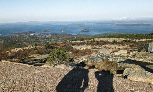 are dogs allowed in acadia national park