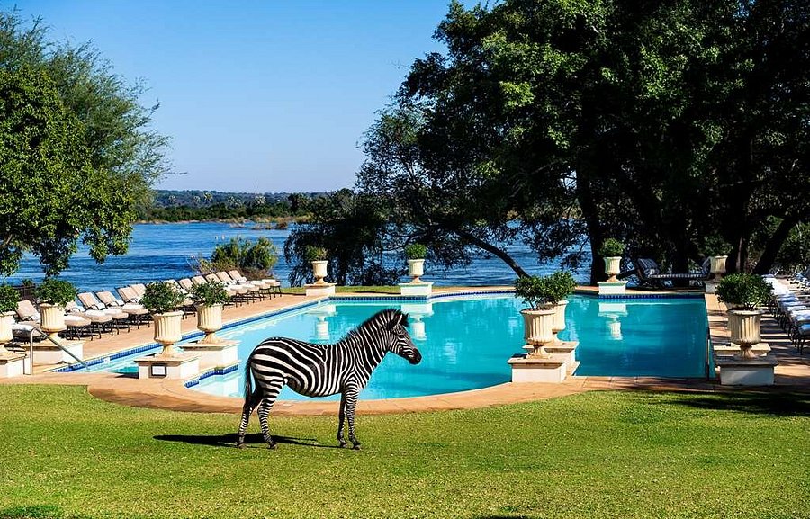 The Royal Livingstone Victoria Falls Zambia Hotel By Anantara Zambie Tarifs 2022 Mis à Jour
