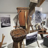 Travail de la vigne