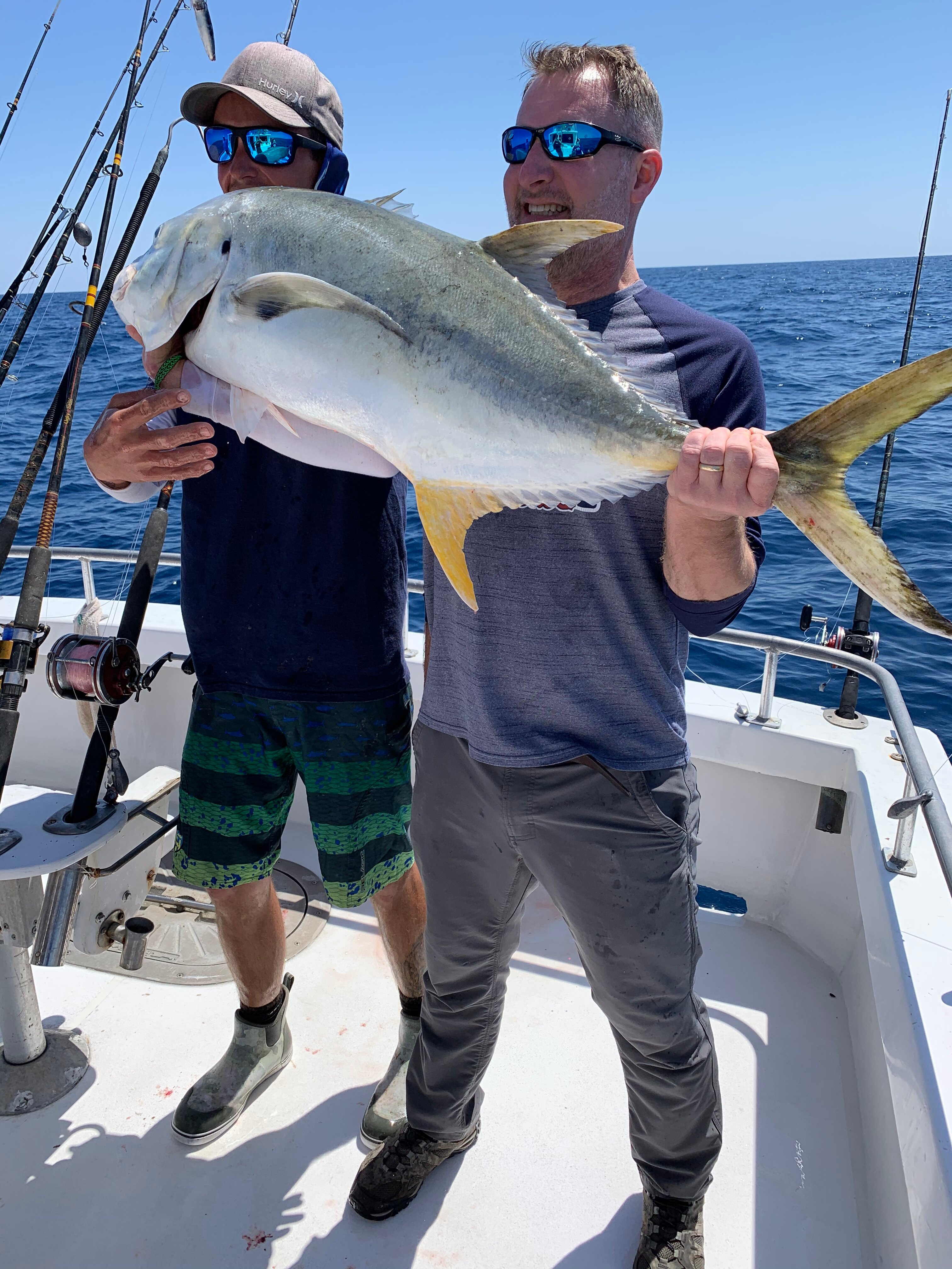 Endless popular Summer Snapper