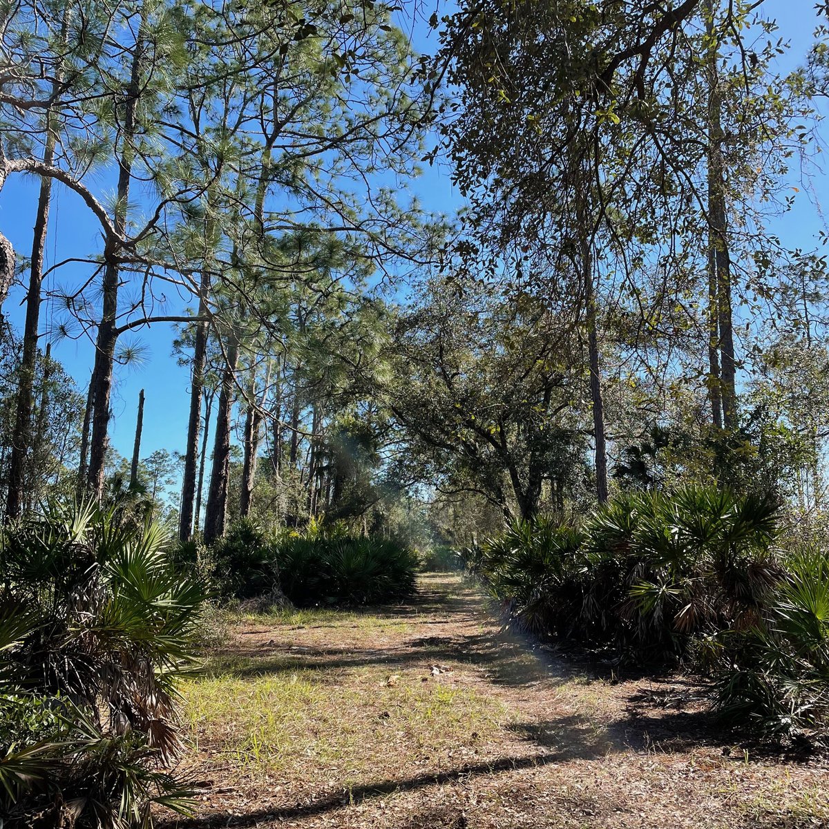 Six Mile Cypress Slough Preserve North (Fort Myers) - All You Need to ...