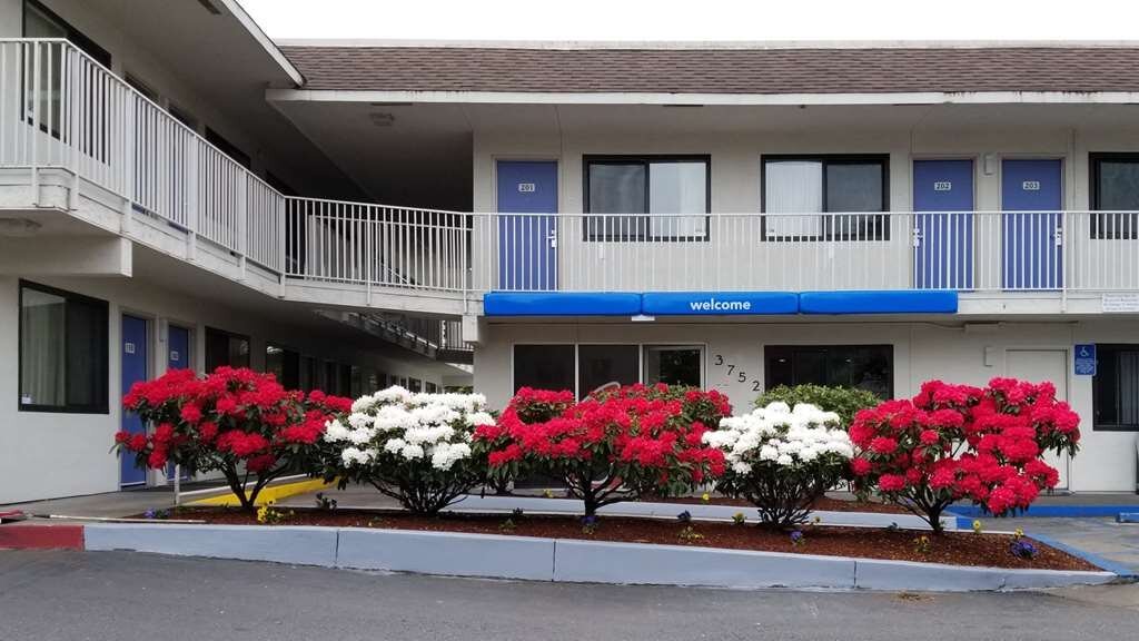 Motel 6 Eugene North Springfield UPDATED 2023 Prices, Reviews & Photos (OR) Tripadvisor