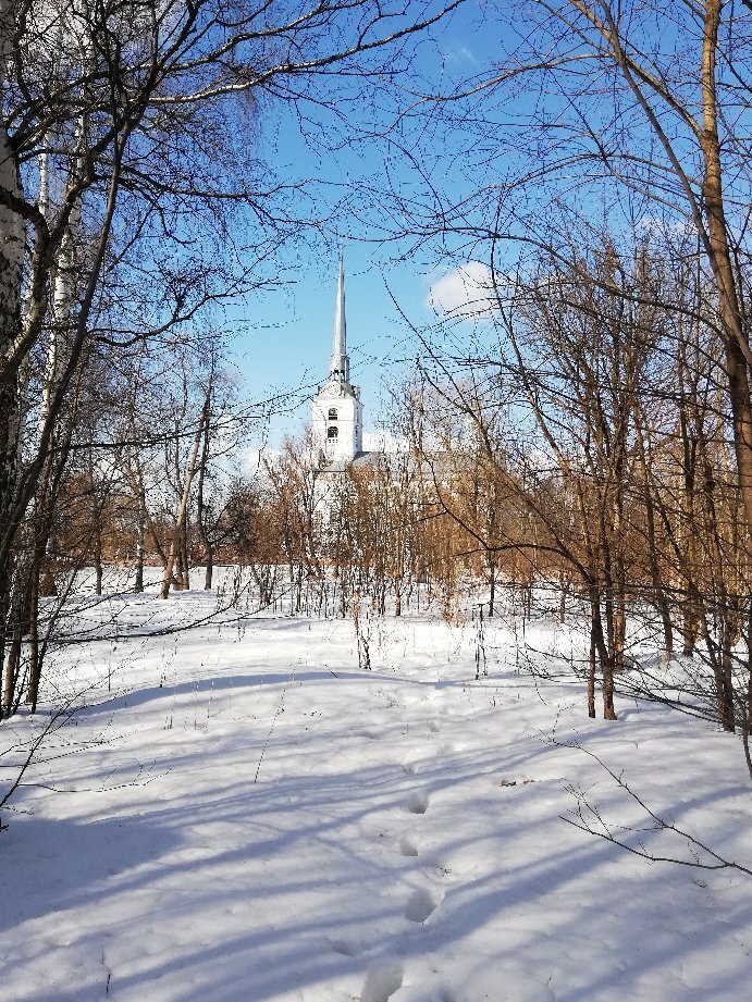 Петровский парк ярославль