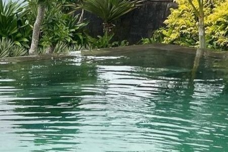 Cenotes Dos Ojos