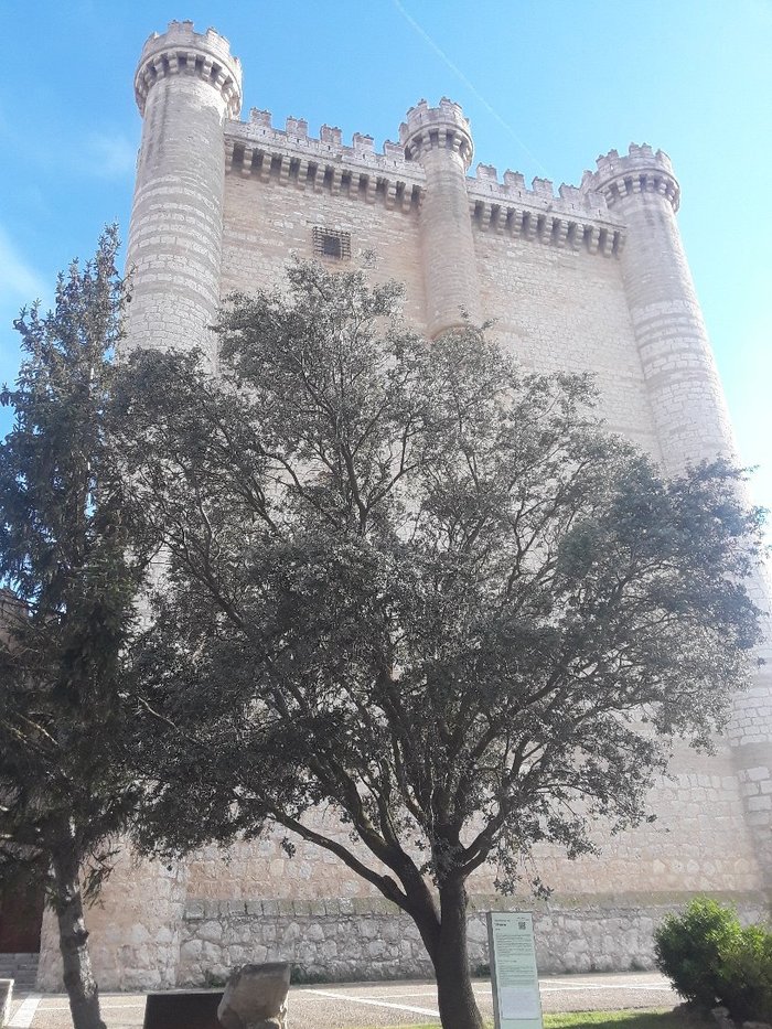Imagen 9 de Castillo de Fuensaldaña