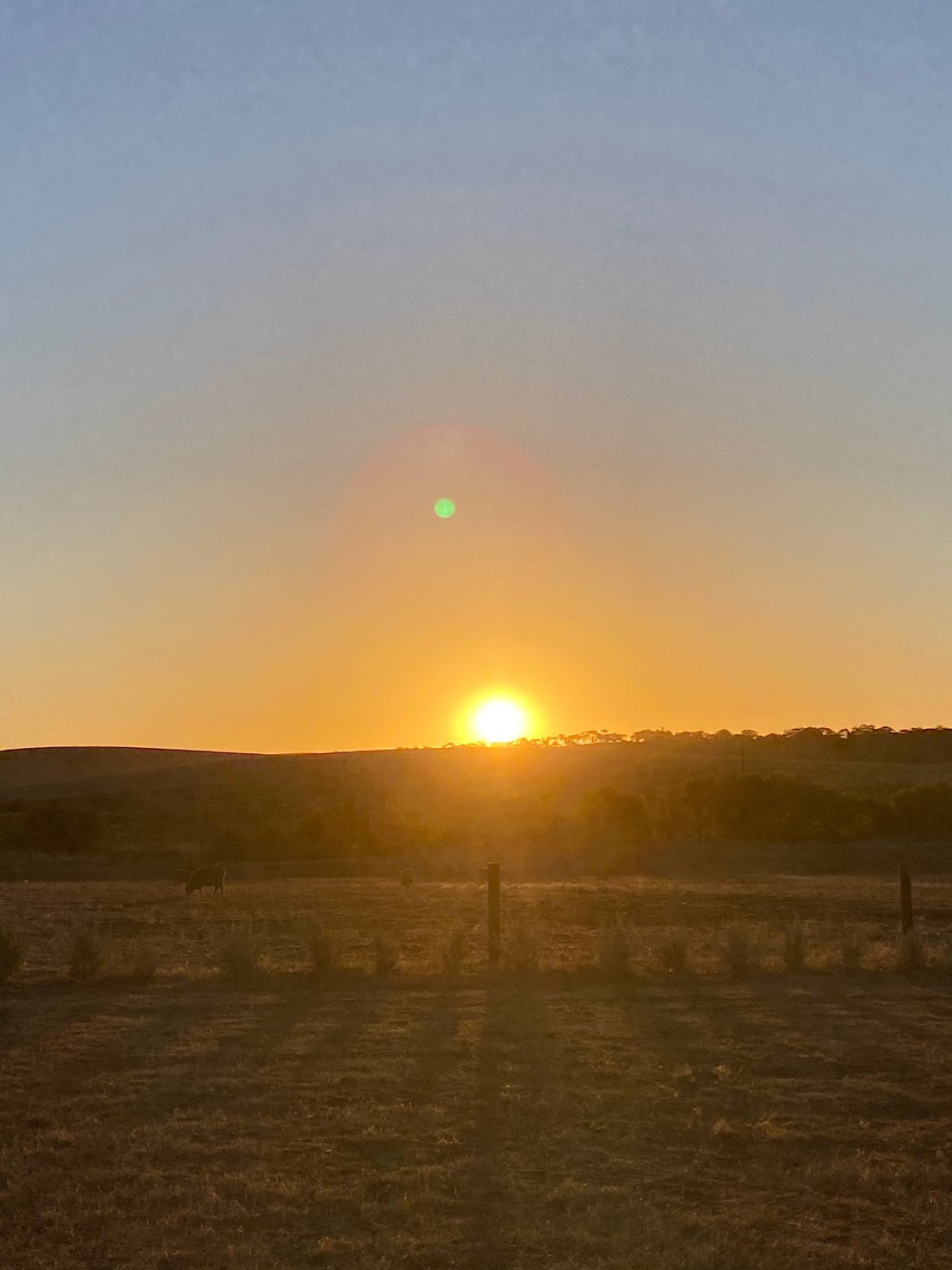 Bukirk Glamping Private Balconies: Pictures & Reviews - Tripadvisor