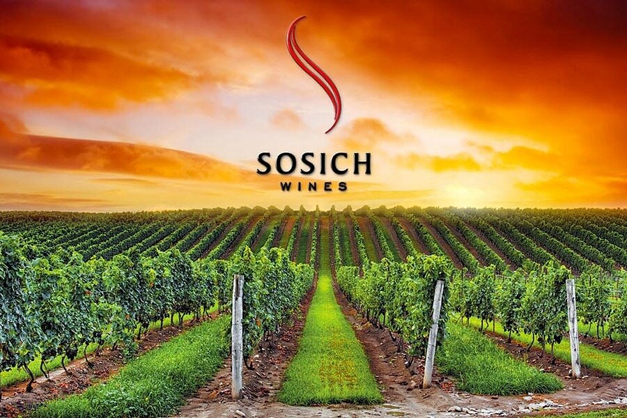 Sosich Wines image