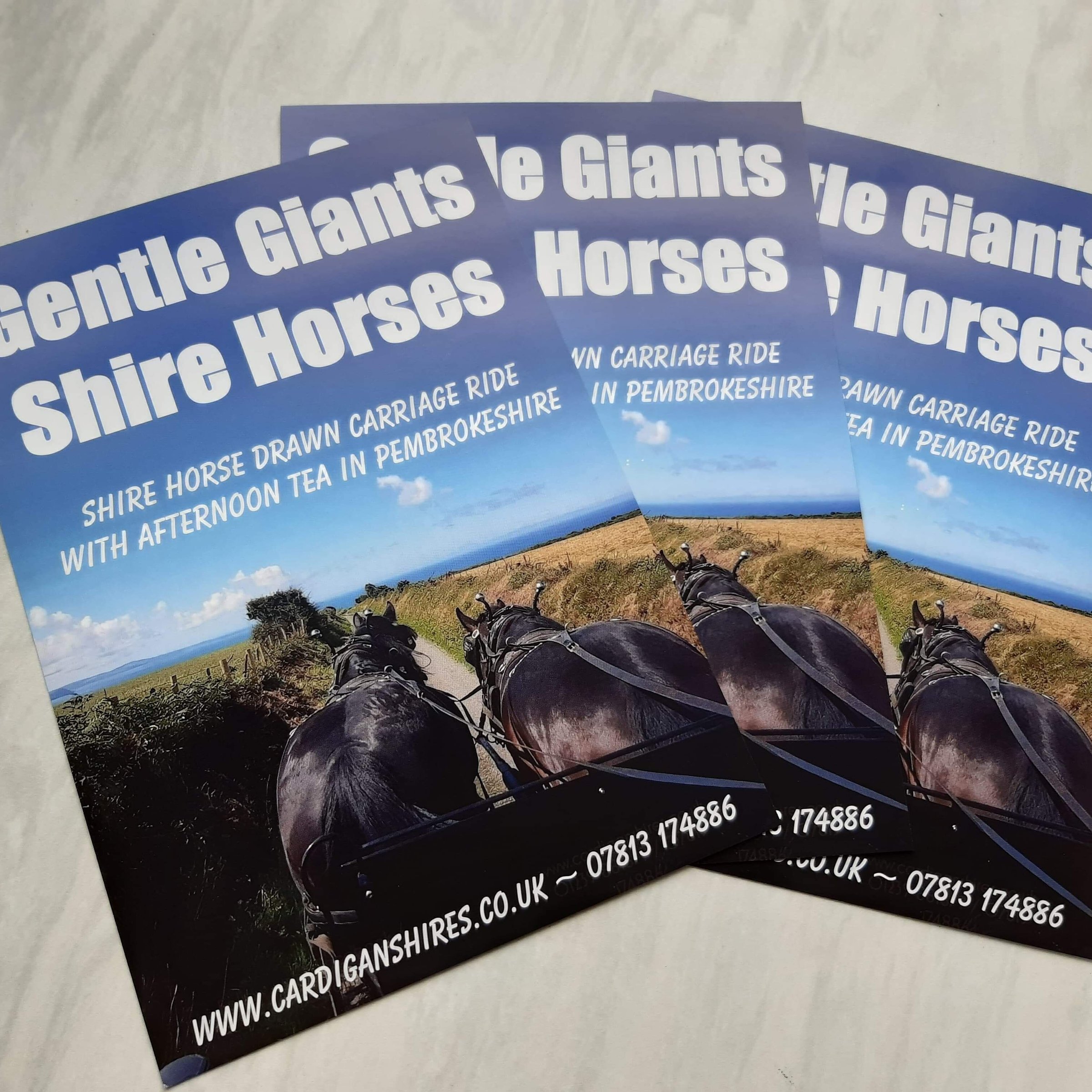 Gentle Giants Shire Horses - All You Need to Know BEFORE You Go (2024)