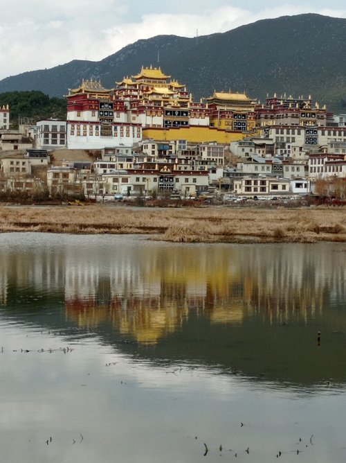 Diqing Tibetan Autonomous Prefecture JuanMao 卷毛 review images
