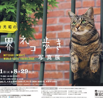 21年 八王子市で絶対外さないおすすめ観光スポットトップ10 定番から穴場まで トリップアドバイザー 21年 八王子市で絶対外さないおすすめ観光スポットトップ10 定番から穴場まで トリップアドバイザー