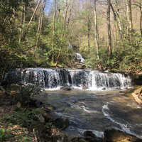 Pearson's Falls Glen (Saluda) - All You Need to Know BEFORE You Go