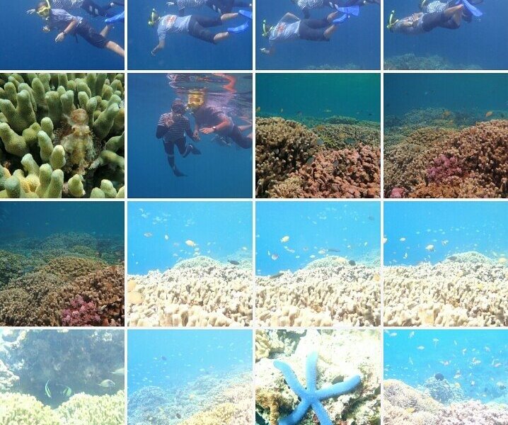 Snorkeling Menjangan - All You Need to Know BEFORE You Go (2024)