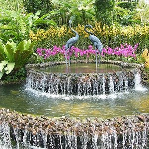 Singapore Botanic Gardens Singapur Aktuelle 2021 Lohnt Es Sich Mit Fotos Tripadvisor