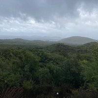 Through The Mist