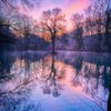 Nature Lover