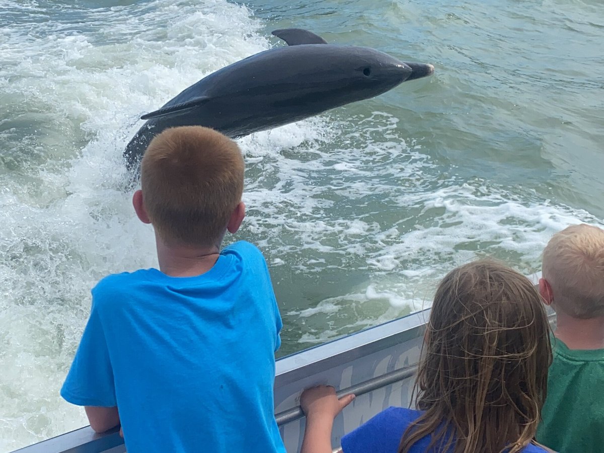 SHARK BOAT JOHN'S PASS (Madeira Beach) - All You Need to Know BEFORE You Go