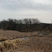 Terrænet omkring vandkraftsøen