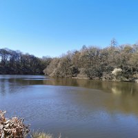 KNYPERSLEY RESERVOIR (Biddulph) - All You Need to Know BEFORE You Go