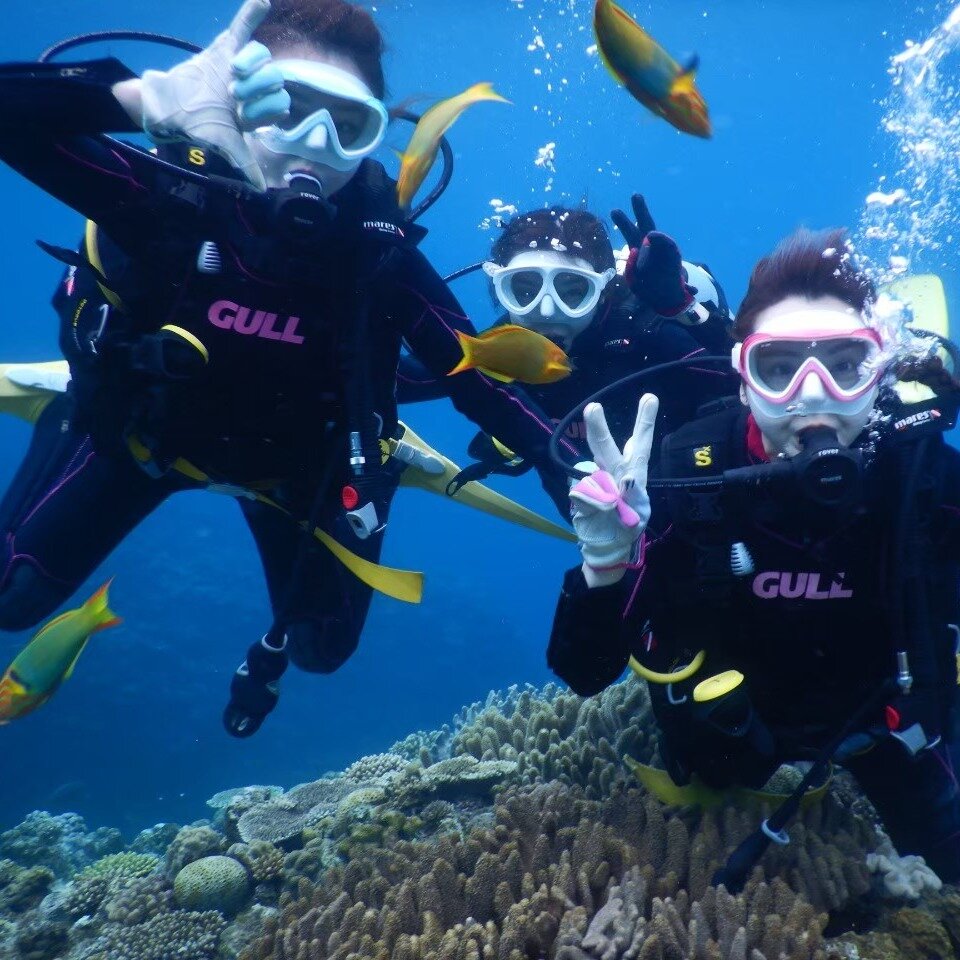THE 5 BEST Okinawa Prefecture Shark Diving Activities (2025)