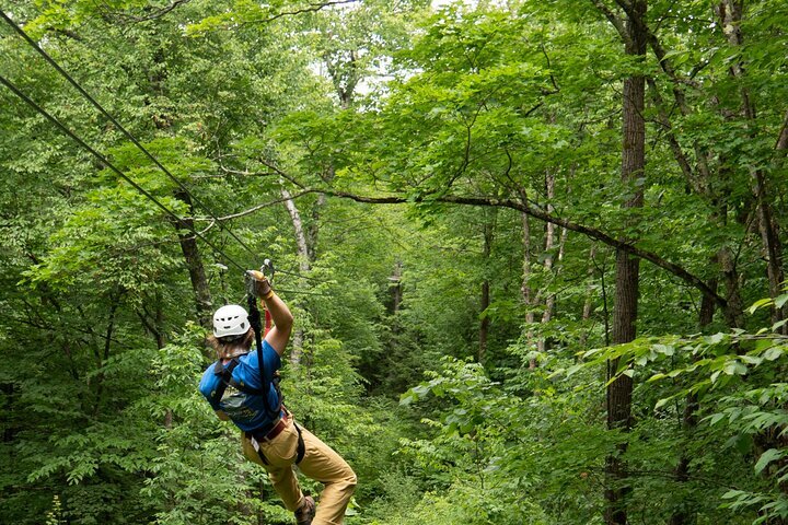 Evolution bike park online okemo