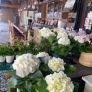 高松市10 大礼品与特产商店 Tripadvisor 高松市10 大礼品与特产商店 Tripadvisor