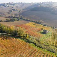 Drone's picture