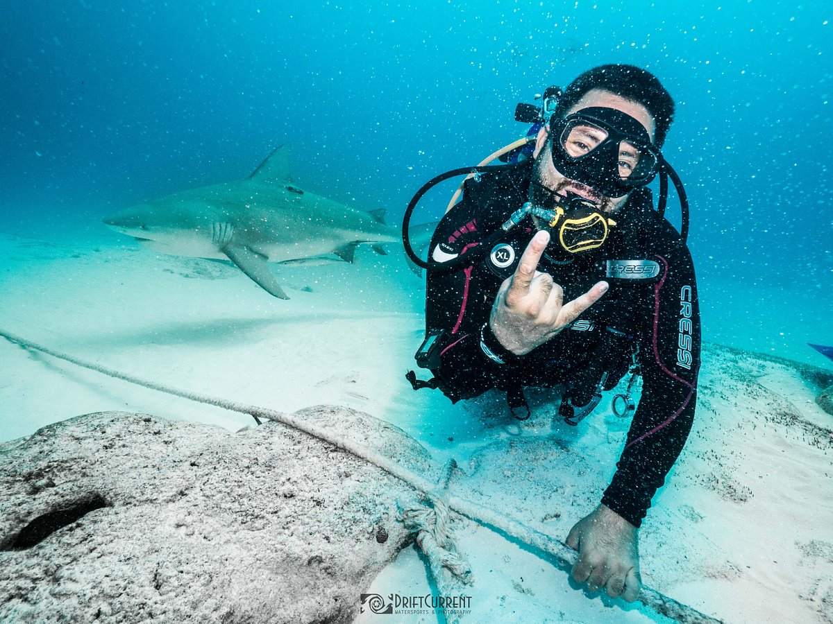 diving playa del carmen