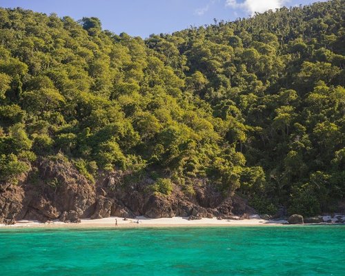 Guana Island