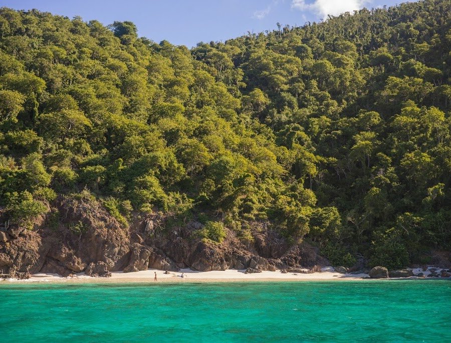 Guana Island by null