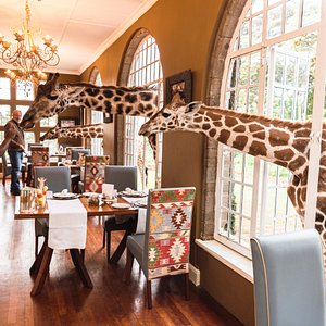 most luxurious safari lodges in kenya