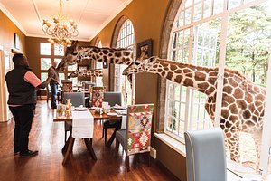 Giraffe Manor in Nairobi