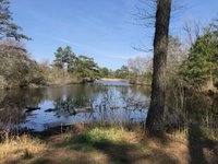 Island Park Trail (Chincoteague) - All You Need to Know BEFORE You Go