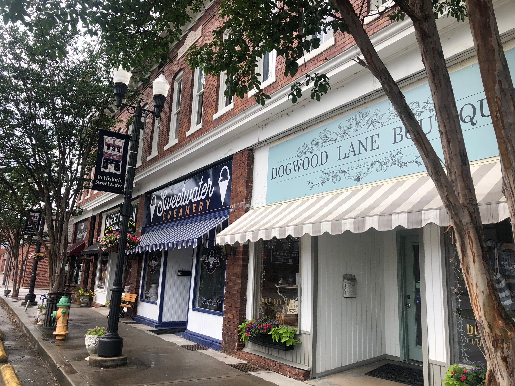 Dogwood Lane Boutique All You Need to Know BEFORE You Go 2024