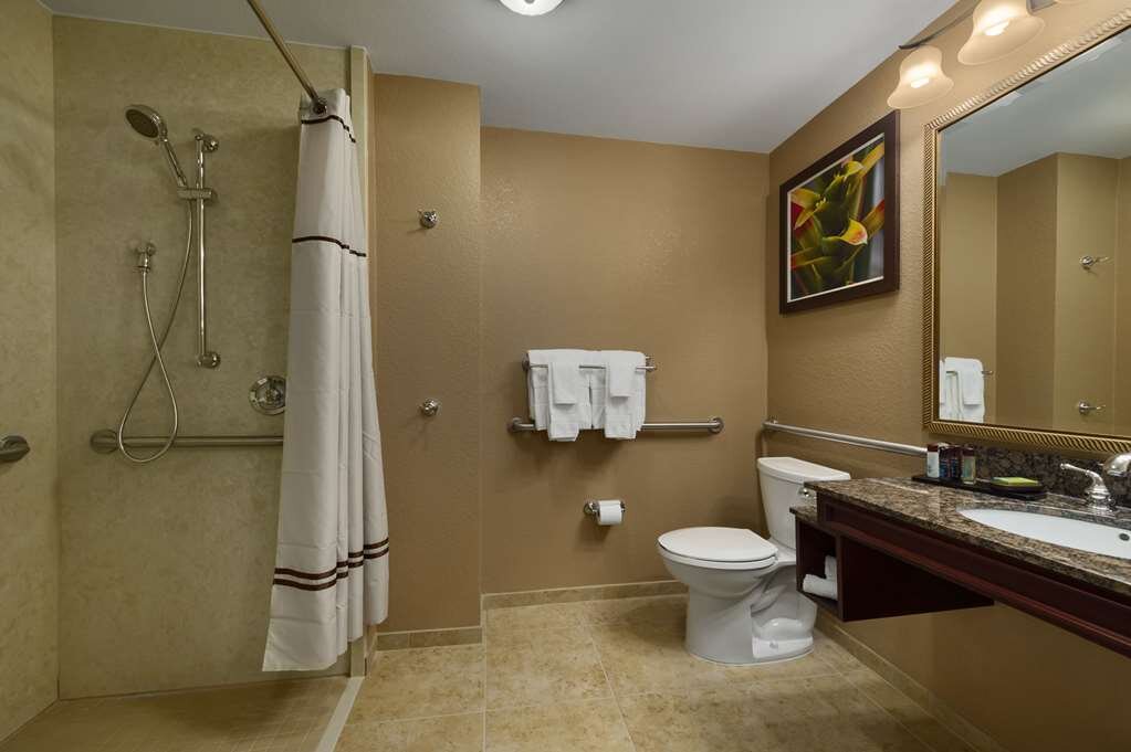 Hotel photo 84 of Embassy Suites by Hilton Orlando Lake Buena Vista South.