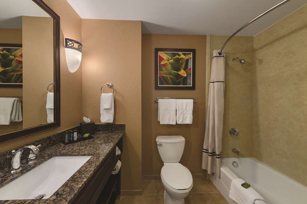 Hotel photo 8 of Embassy Suites by Hilton Orlando Lake Buena Vista South.