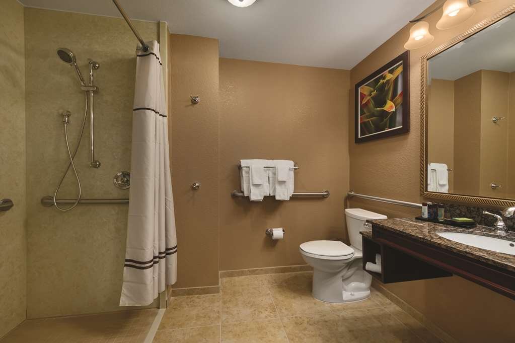Hotel photo 17 of Embassy Suites by Hilton Orlando Lake Buena Vista South.