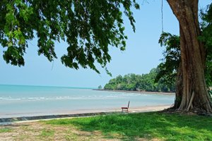 Pool & Beach