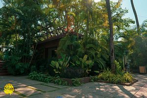 Holiday Village in Bengaluru, image may contain: Villa, Vegetation, Garden, Rainforest