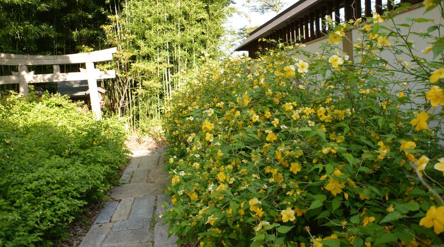 香具波志神社