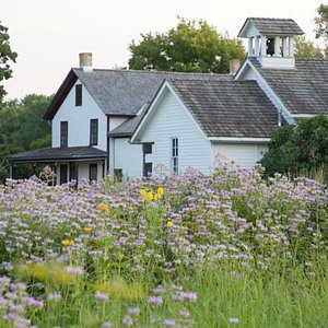 Review of Bluebeard's Dollhouse at the James J. Hill House - Play