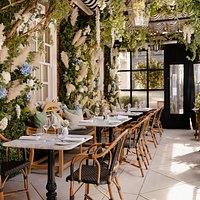 Dalloway Terrace