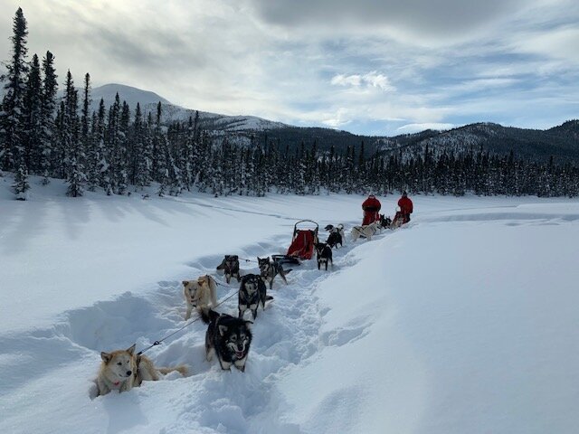 INIAKUK LAKE WILDERNESS LODGE - Updated 2024 Reviews (Fairbanks, Alaska)