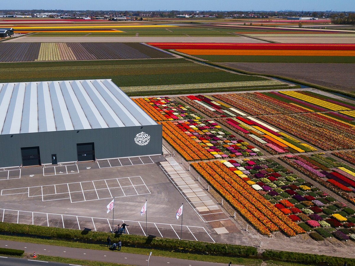 Tulip Experience Amsterdam (noordwijkerhout) - All You Need To Know 