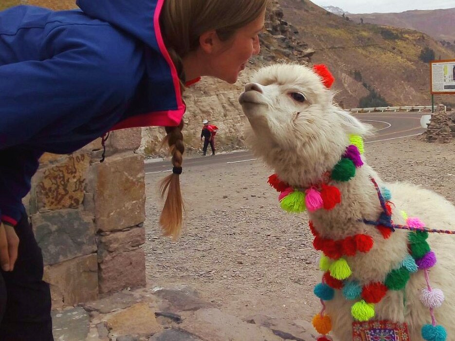 Misti Volcano Trekking 2 Days - Giardino Tours - Tour Operator and Travel  Agency in Perú