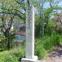横面